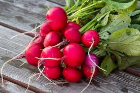 radishes