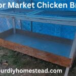 Market Chick Brooder Installation